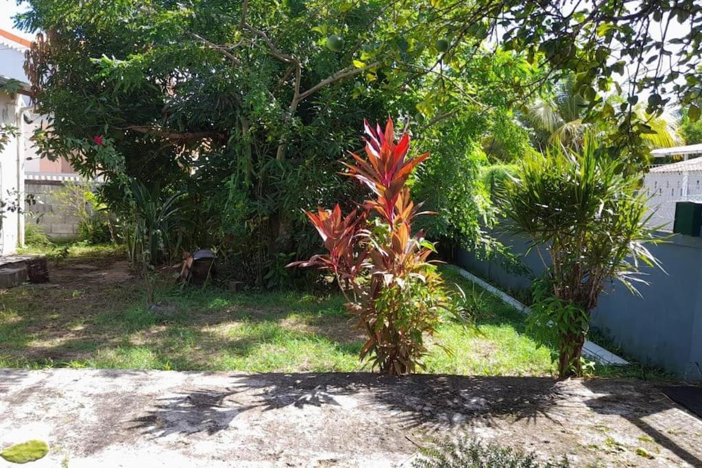 La Petite Maison, Spacieuse, Avec Jardin / Parking Sainte-Rose Extérieur photo