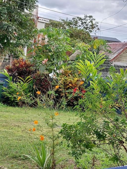 La Petite Maison, Spacieuse, Avec Jardin / Parking Sainte-Rose Extérieur photo